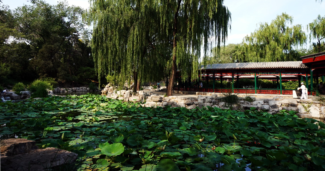 北京动物园风景