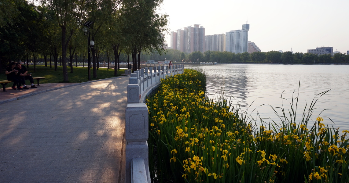莲花池什么的水花